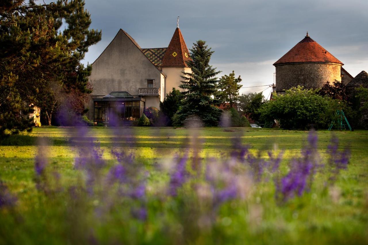 L'Hote Antique - Maison D'Hote- 4 Suites Avec Cuisine Pichanges Экстерьер фото
